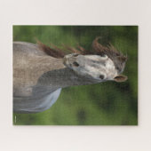 Bob Langrish | Grijze Andalucian Stallion Headshot Legpuzzel (Horizontaal)