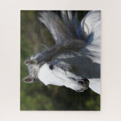 Bob Langrish | Grijze Andalucian Stallion Headshot Legpuzzel (Verticaal)