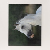 Bob Langrish | Grijze Andalucian Stallion Headshot Legpuzzel (Verticaal)