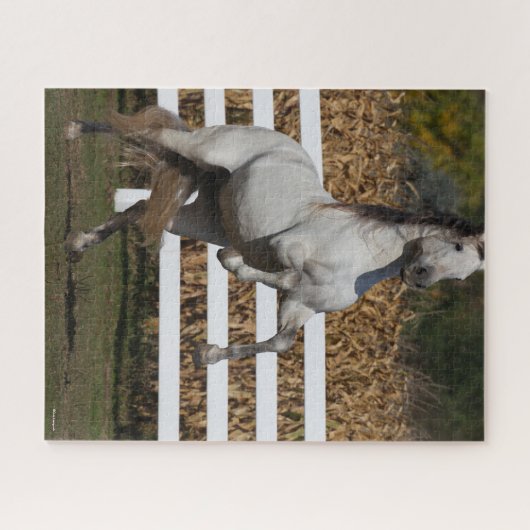 Bob Langrish | Grijze Andalucian Stallion Rearing Legpuzzel (Horizontaal)