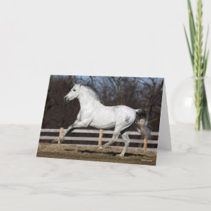 Bob Langrish Grijze Andalucian Stallion Running Kaart