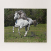 Bob Langrish | Grijze Andalucian Stallion Running Legpuzzel (Horizontaal)