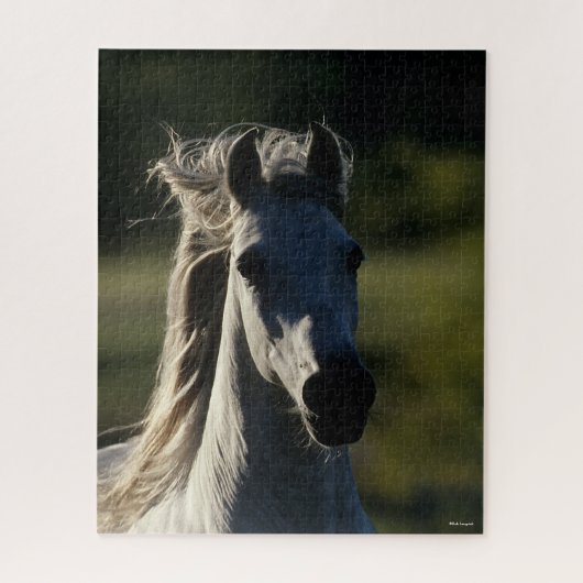 Bob Langrish | Grijze Andalusiaanse hoofdfoto met Legpuzzel (Verticaal)