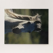 Bob Langrish | Grijze Andalusiaanse hoofdfoto met Legpuzzel (Horizontaal)