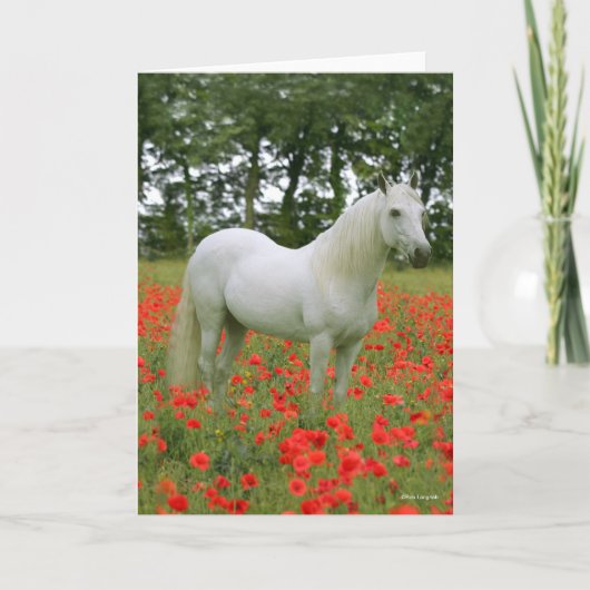 Bob Langrish | Grijze Arabier in de rode bloemen Kaart (Voorkant)