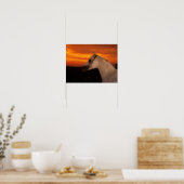 Bob Langrish | Grijze Arabische foto op Sunset Poster (Keuken)