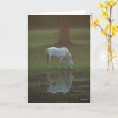 Bob Langrish | Grijze Arabische Graaswaterreflecti Kaart (Gele Bloem)