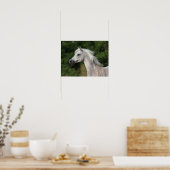 Bob Langrish | Grijze Arabische hoofdfoto Poster (Keuken)