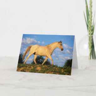 Bob Langrish   Grijze Arabische looptijden Kaart