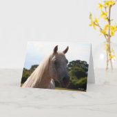 Bob Langrish | Grijze Arabische Stallion Headshot Kaart (Gele Bloem)