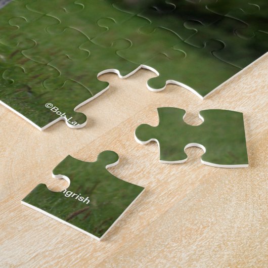 Bob Langrish | Grijze Arabische Stallion Legpuzzel (Zijkant)