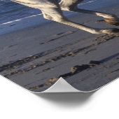 Bob Langrish | Grijze Arabische stroop loopt op st Poster (Hoek)