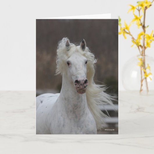 Bob Langrish | Grijze Friesian Appaloosa-hoofdscho Kaart (Gele Bloem)