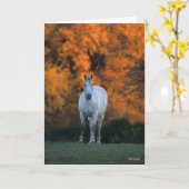 Bob Langrish | Grijze herfst Warmbloed Kaart (Gele Bloem)