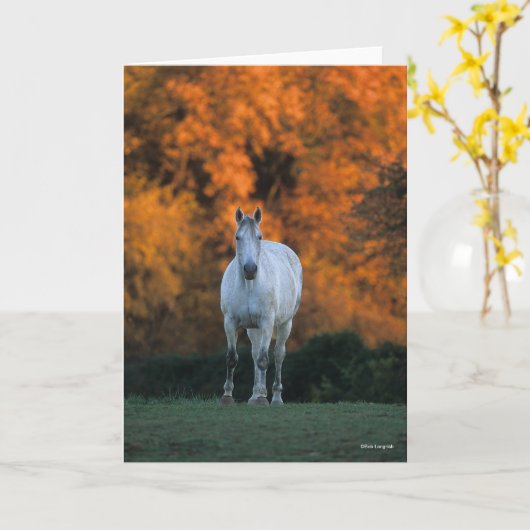 Bob Langrish | Grijze herfst Warmbloed Kaart (Gele Bloem)