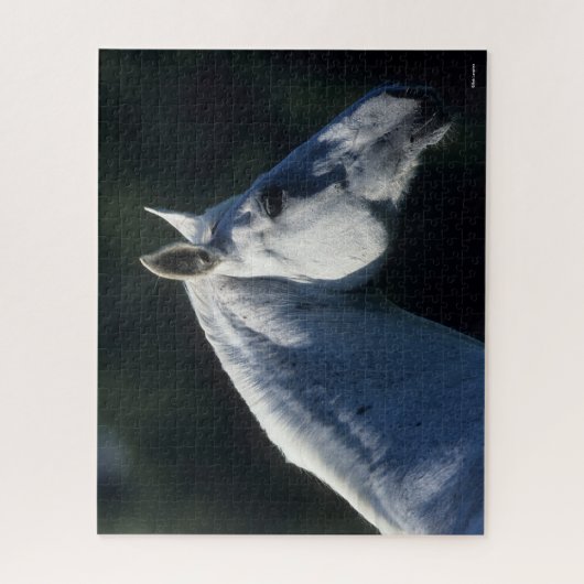 Bob Langrish | Grijze warmbloed — Vaste kop Legpuzzel (Verticaal)