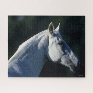 Bob Langrish   Grijze warmbloed — Vaste kop Legpuzzel