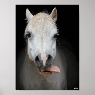 Bob Langrish Grijze Welsh Pony met tongen uit Poster