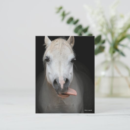 Bob Langrish | Grijze Welsh Pony Tongue uit headsh Briefkaart (Staand voorkant)