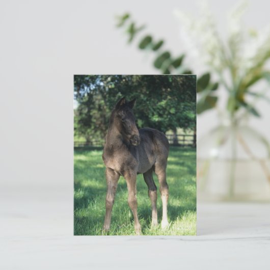 Bob Langrish | Grondevee met stevige ondergrond Briefkaart (Staand voorkant)