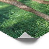 Bob Langrish | Grondevee met stevige ondergrond Poster (Hoek)