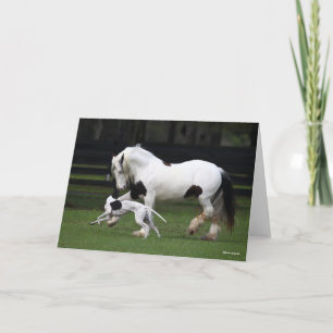 Bob Langrish Gypsy Vanner en Dog die samen lopen Kaart