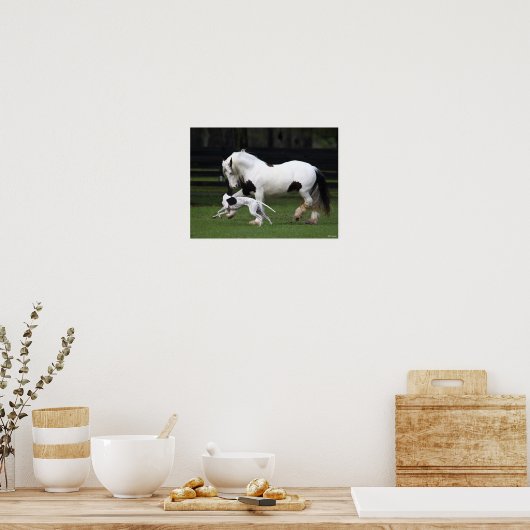 Bob Langrish Gypsy Vanner en Dog die samen lopen Poster (Keuken)