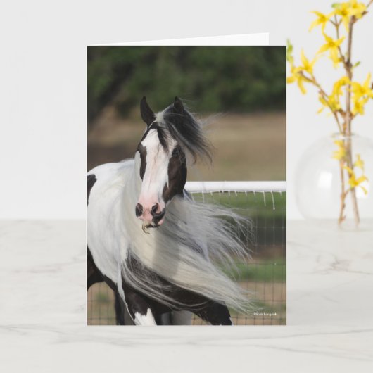 Bob Langrish | Gypsy Vanner Headshot Mande stromen Kaart (Gele Bloem)