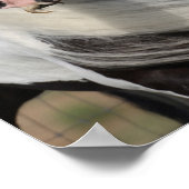 Bob Langrish | Gypsy Vanner Headshot Mande stromen Poster (Hoek)