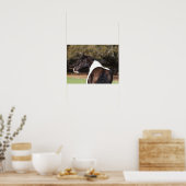 Bob Langrish | Gypsy Vanner Headshot Poster (Keuken)