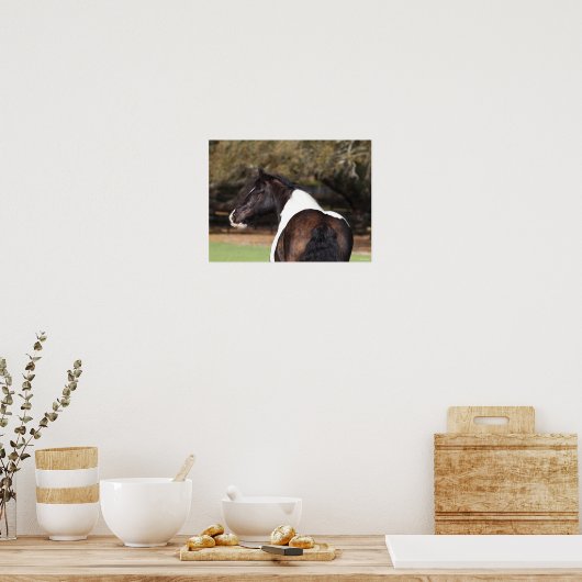 Bob Langrish | Gypsy Vanner Headshot Poster (Keuken)