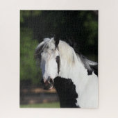 Bob Langrish | Gypsy Vanner Horse Headshot Legpuzzel (Verticaal)