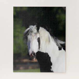 Bob Langrish   Gypsy Vanner Horse Headshot Legpuzzel