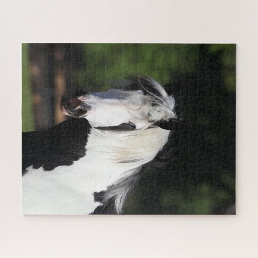 Bob Langrish | Gypsy Vanner Horse Headshot Legpuzzel (Horizontaal)