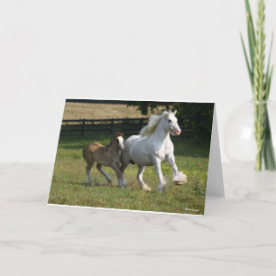 Bob Langrish   Gypsy Vanner Horse Mare & Foal Kaart