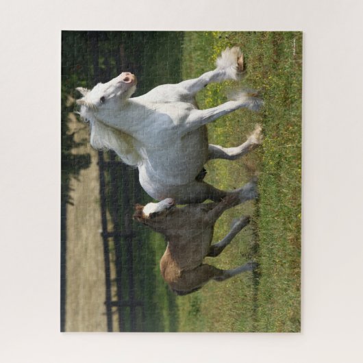 Bob Langrish | Gypsy Vanner Horse Mare & Foal Legpuzzel (Verticaal)