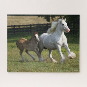 Bob Langrish   Gypsy Vanner Horse Mare & Foal Legpuzzel