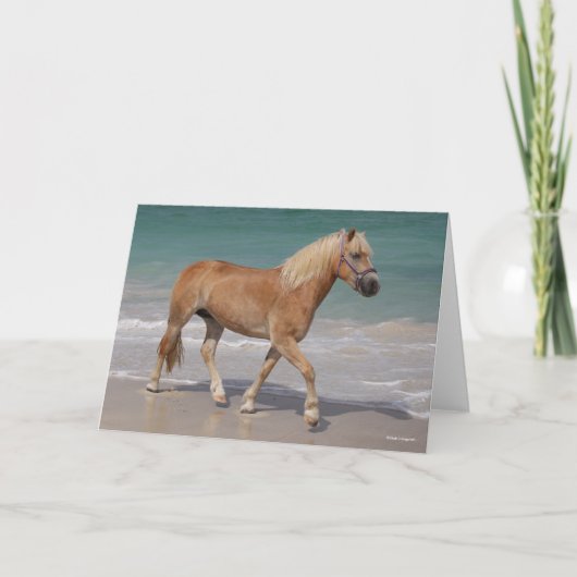 Bob Langrish | Haflinger die op het strand loopt Kaart (Voorkant)
