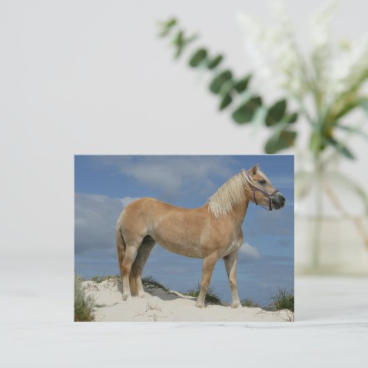 Bob Langrish | Haflinger op het strand Briefkaart (Staand voorkant)