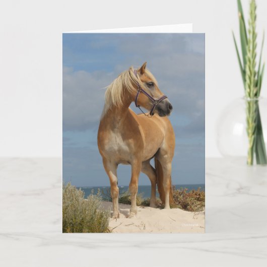 Bob Langrish | Haflinger op strand Kaart (Voorkant)