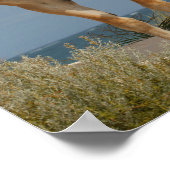 Bob Langrish | Haflinger op strand Poster (Hoek)