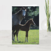 Bob Langrish | Harde bloem Mare en Foal Backlit Kaart (Voorkant)