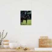 Bob Langrish | Harde bloem Mare en Foal Backlit Poster (Keuken)