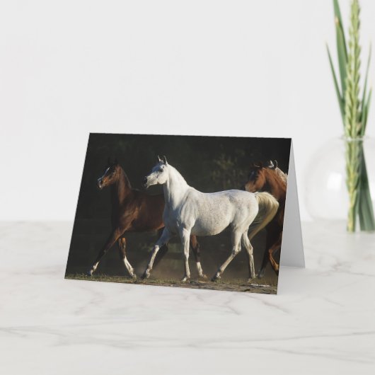 Bob Langrish | Herd Arab Mares Walking Kaart (Voorkant)