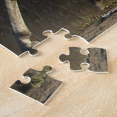 Bob Langrish | Herd Arab Mares Walking Legpuzzel (Zijkant)