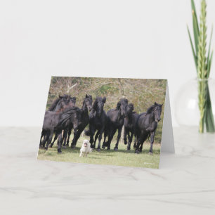 Bob Langrish   Herd Black Meren Horses en Dog Kaart
