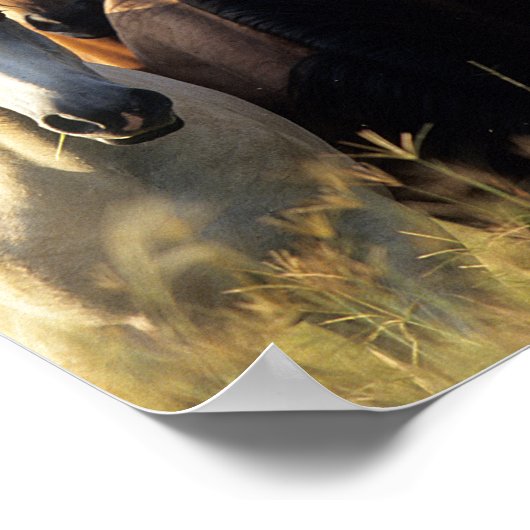 Bob Langrish | Herd van met vogels vastzittende pa Poster (Hoek)