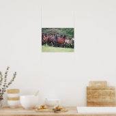 Bob Langrish | Herd van Welsh Ponies in Field Poster (Keuken)