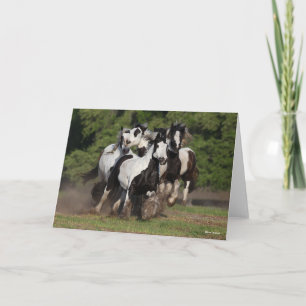 Bob Langrish Herd van zigeunerpaarden Kaart