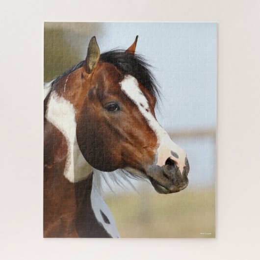 Bob Langrish | Hoofd Paint Horse Stallion Legpuzzel (Verticaal)